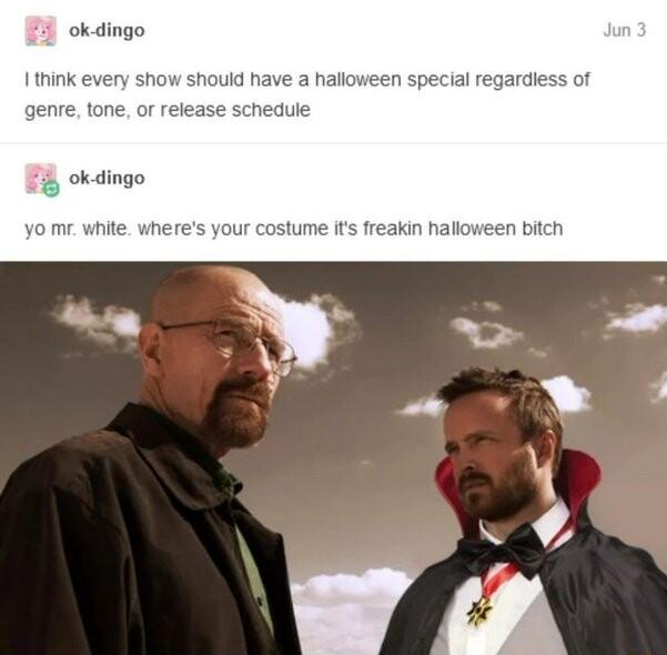 ok dingo I think every show should have a haloy genre tone or ok dingo jeen spec I regardiess