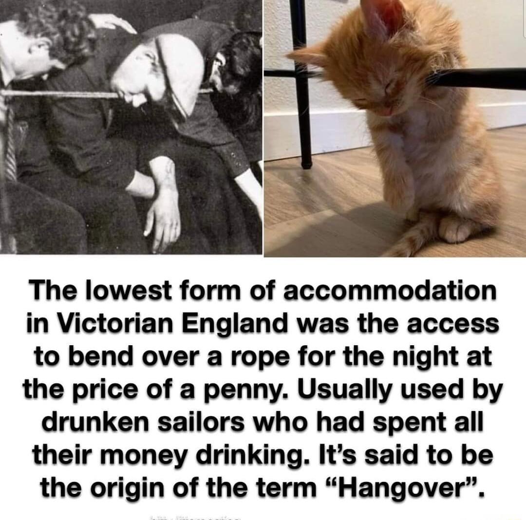 The lowest form of accommodation in Victorian England was the access to bend over a rope for the night at the price of a penny Usually used by drunken sailors who had spent all their money drinking Its said to be the origin of the term Hangover