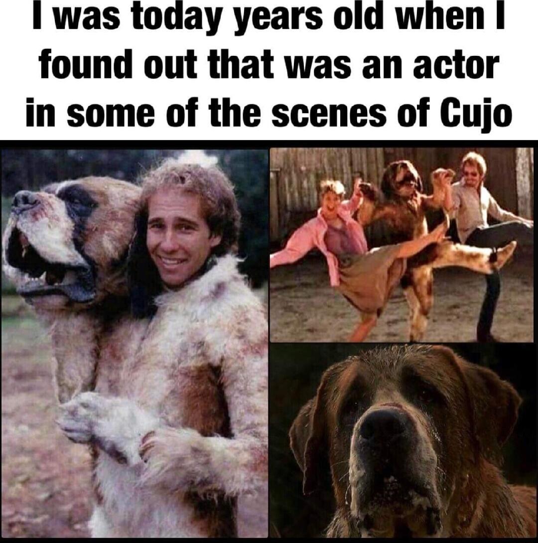 was today years old when found out that was an actor in some of the scenes of Cujo