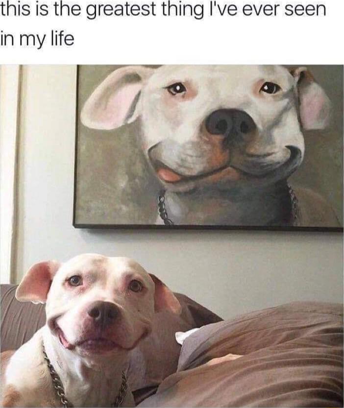 is Is the greatest thing Ive ever seen in my life