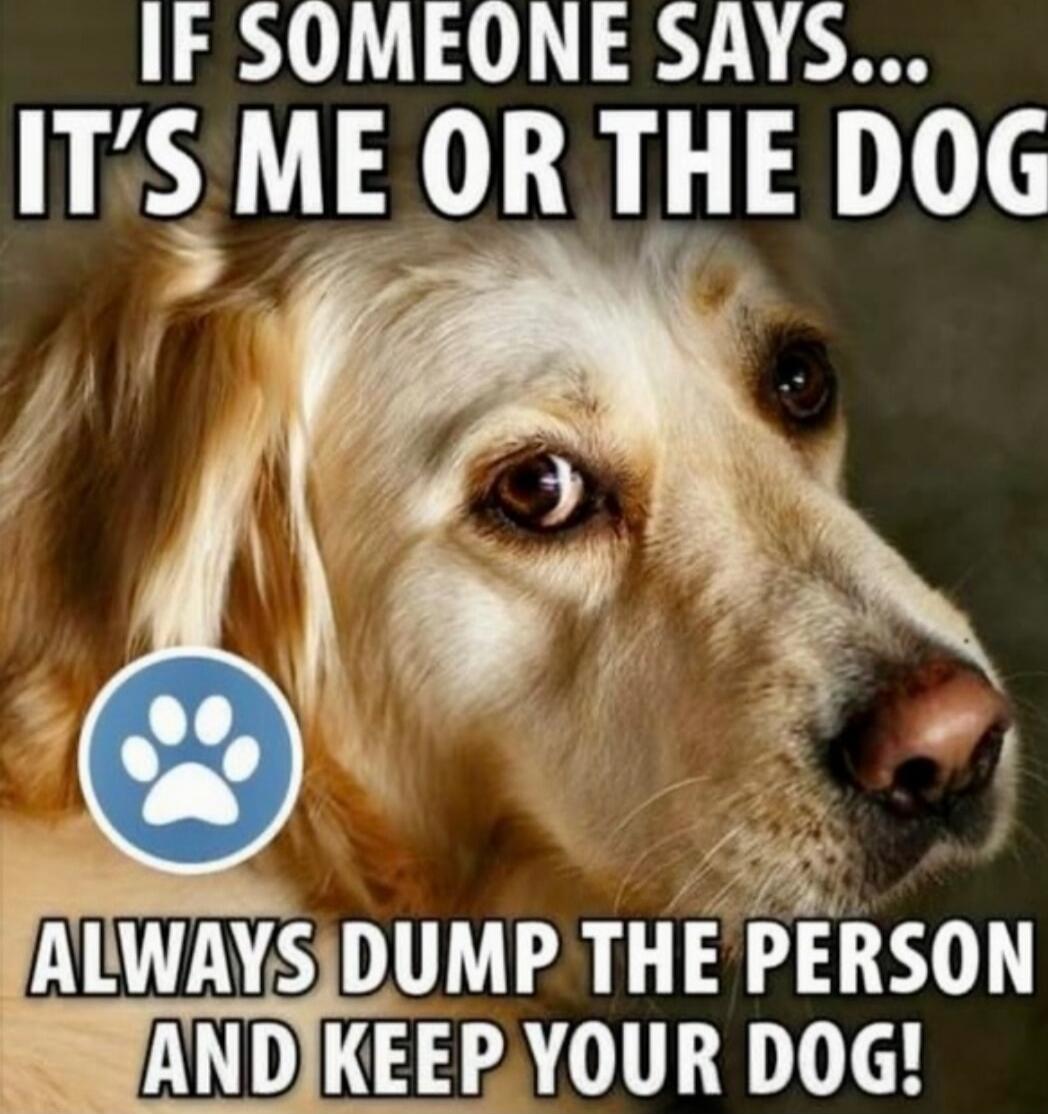 IF SOMEONE SAYS... IT'S ME OR THE DOG
ALWAYS DUMP THE PERSON AND KEEP YOUR DOG!