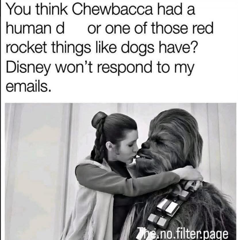 You think Chewbacca had a human d or one of those red rocket things like dogs have? Disney won’t respond to my emails.