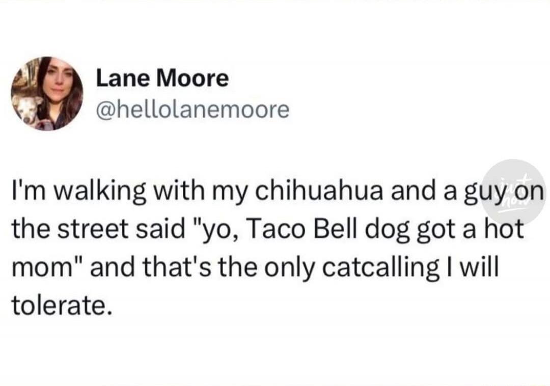 I'm walking with my chihuahua and a guy on the street said 