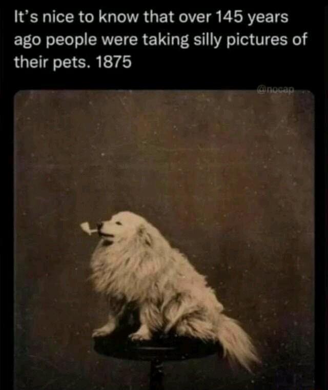 SRR LG TR GE RV E L RVEETS ago people were taking silly pictures of their pets 1875