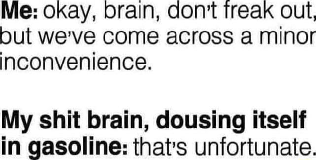 Me okay brain dont freak oult but weve come across a minor inconvenience My shit brain dousing itself in gasoline thats unfortunate