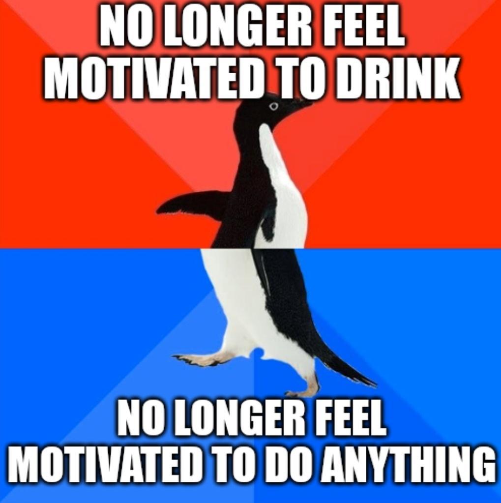NOLONGER FEEL MOTIVATED TO DRINK X NOLONGER FEEL MOTIVATED TO DO ANYTHING