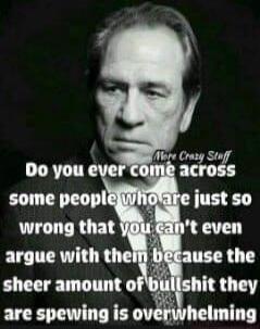 More Crazy Stuff Do you ever come across some people who are just so wrong that you can't even argue with them because the sheer amount of bullshit they are spewing is overwhelming