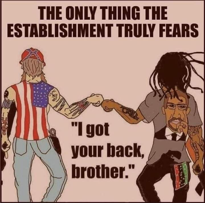 THE ONLY THING THE ESTABIISHMENT TRULY FEARS z N your hack a brother rotner