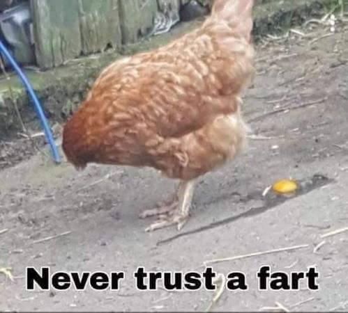 kN_ever trust a fart