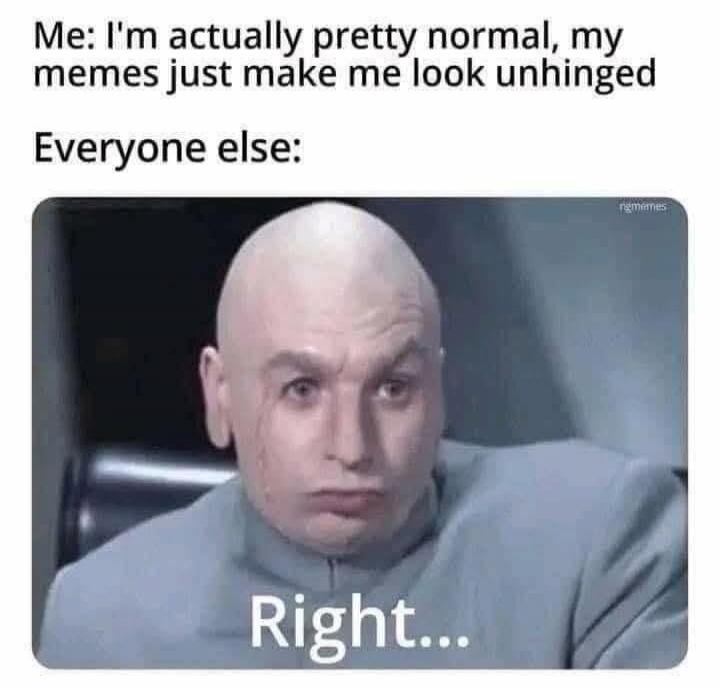 Me: I'm actually pretty normal, my memes just make me look unhinged. Everyone else: Right...