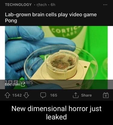 TECHNOLOGY rt Lab grown brain cells play video game Pong Hsazdl D 1es T share New dimensional horror just SELED