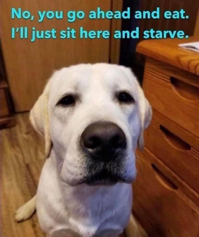 No, you go ahead and eat. I'll just sit here and starve.