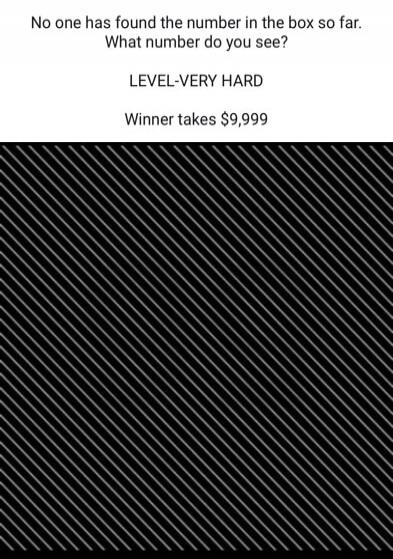 No one has found the number in the box so far. What number do you see? LEVEL-VERY HARD Winner takes $9,999. The hidden number is 17.