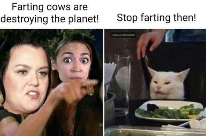 Farting cows are destroying the planet Stop farting then