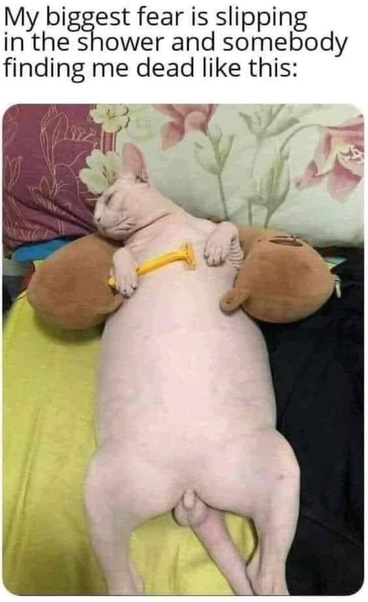 My biggest fear is slippin inhegsnower and scnaetody finding me dead like this