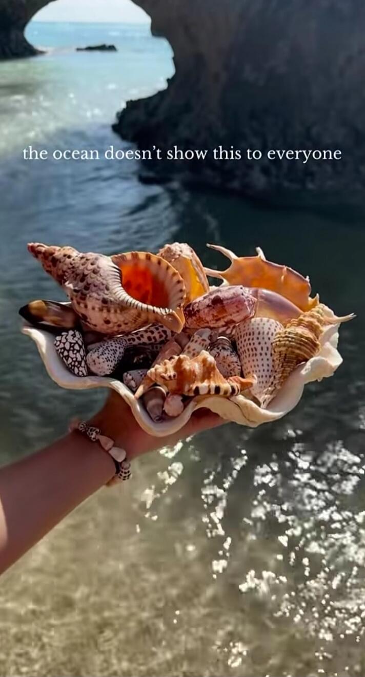 the ocean doesn't show this to everyone