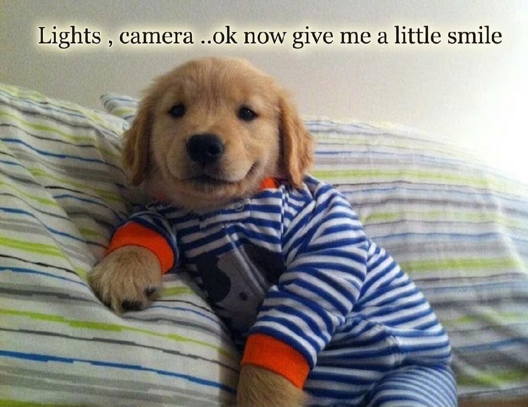 Lights, camera ..ok now give me a little smile