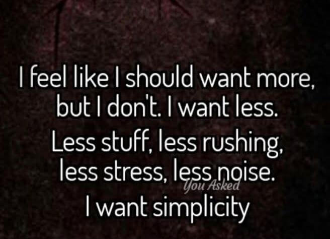 I feel like I should want more, but I don't. I want less. Less stuff, less rushing, less stress, less noise. I want simplicity