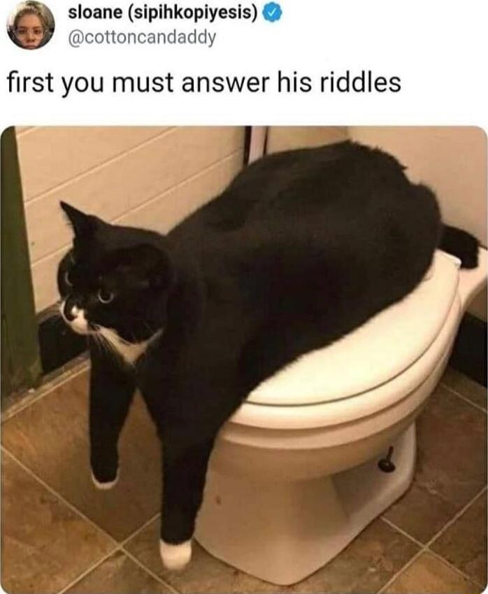 sloane sipihkopiyesis cottoncand first you must answer his riddles