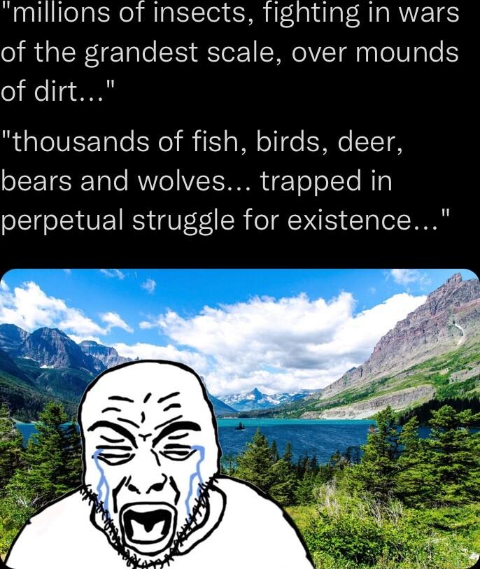 millions of insects fighting in wars of the grandest scale over mounds of dirt thousands of fish birds deer SEETEE T e RUVe IV ToToTo i perpetual struggle for existence