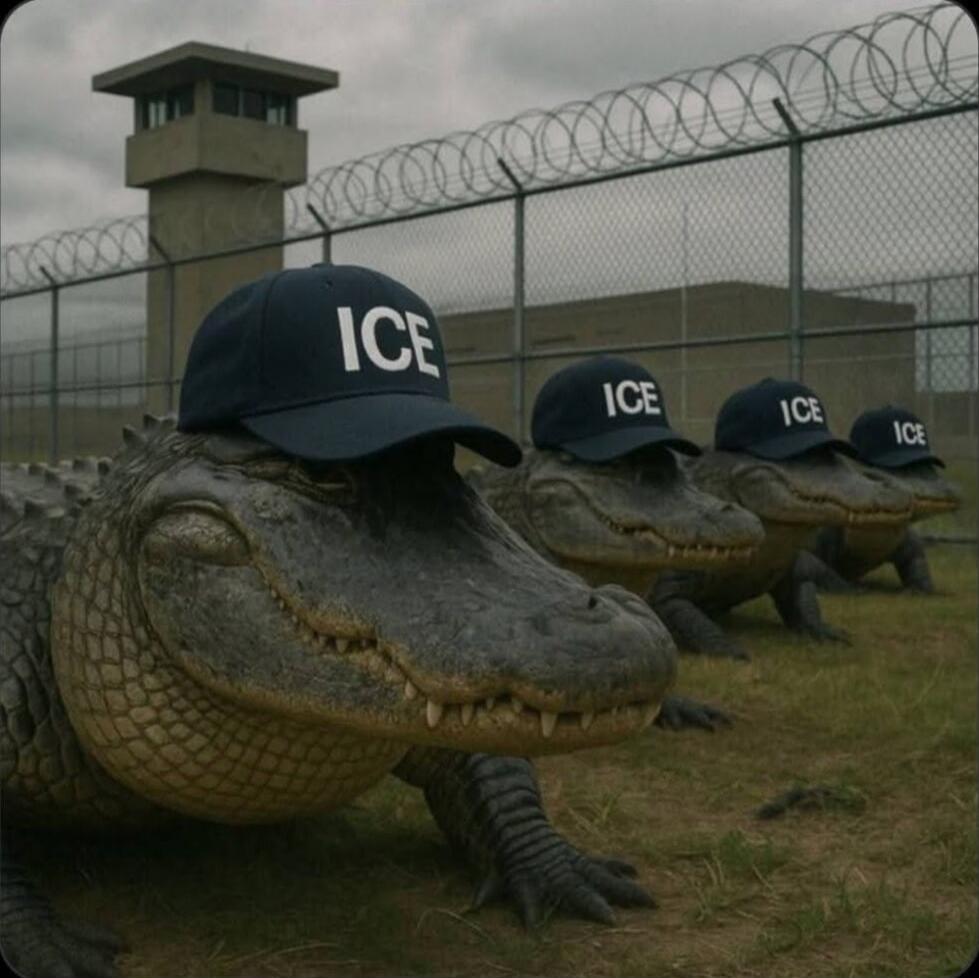 Alligators wearing ICE caps lined up behind a barbed-wire fence.