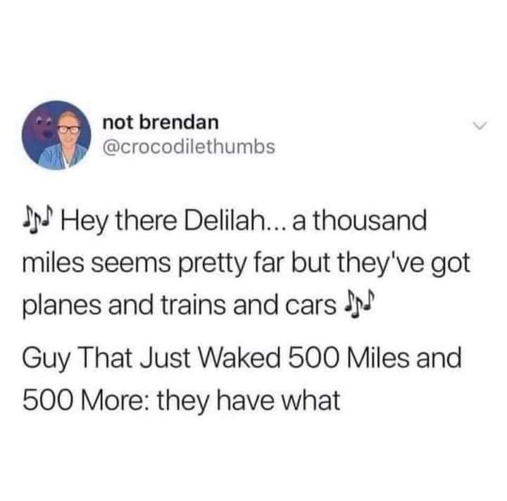not brendan crocodilethumbs 2 Hey there Delilah a thousand miles seems pretty far but theyve got planes and trains and cars 3 Guy That Just Waked 500 Miles and 500 More they have what
