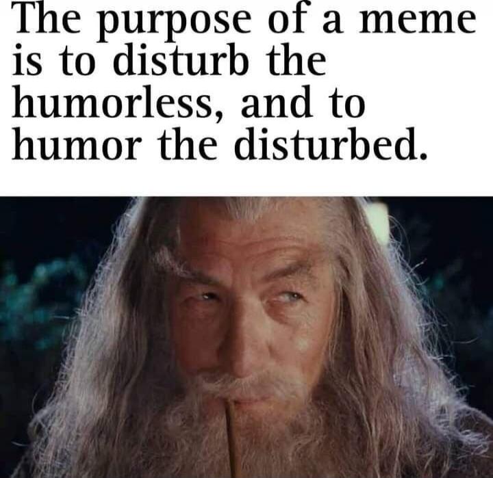 The purpose of a meme is to disturb the humorless, and to humor the disturbed.