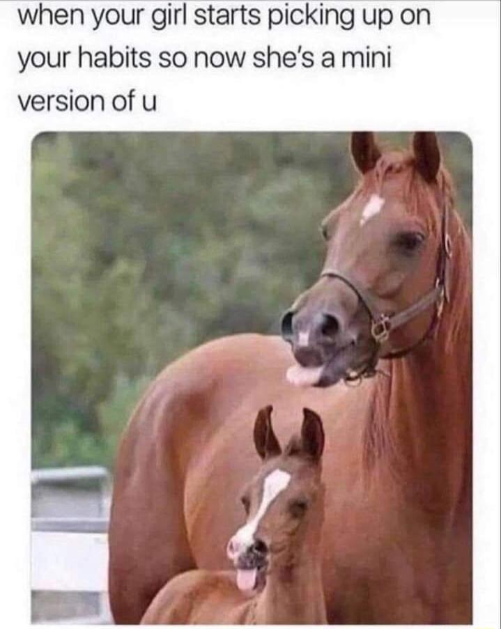 when your girl starts picking up on your habits so now shes a mini version of u