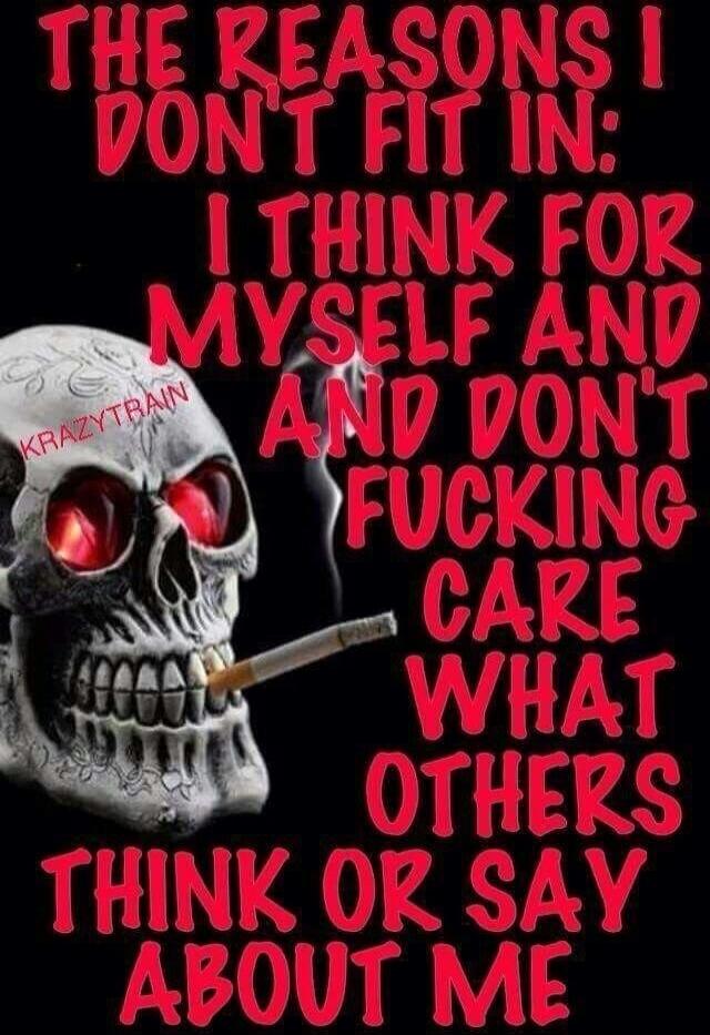 THE REASONS I DON'T FIT IN: I THINK FOR MYSELF AND DON'T FUCKING CARE WHAT OTHERS THINK OR SAY ABOUT ME KRAZYTRAIN