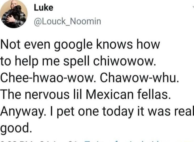 Luke Louck_Noomin Not even google knows how to help me spell chiwowow Chee hwao wow Chawow whu The nervous lil Mexican fellas Anyway pet one today it was real good