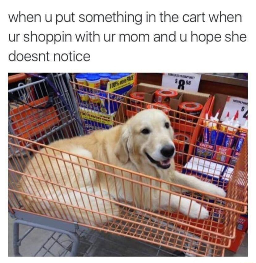when u put something in the cart when ur shoppin with ur mom and u hope she doesnt notice