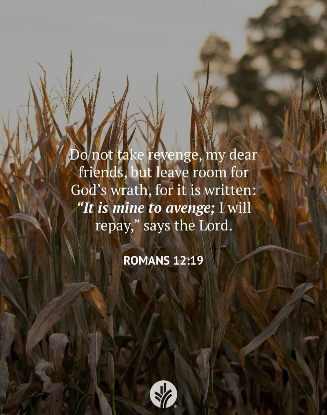 Do not take revenge, my dear friends, but leave room for God's wrath, for it is written: “It is mine to avenge; I will repay,” says the Lord. ROMANS 12:19