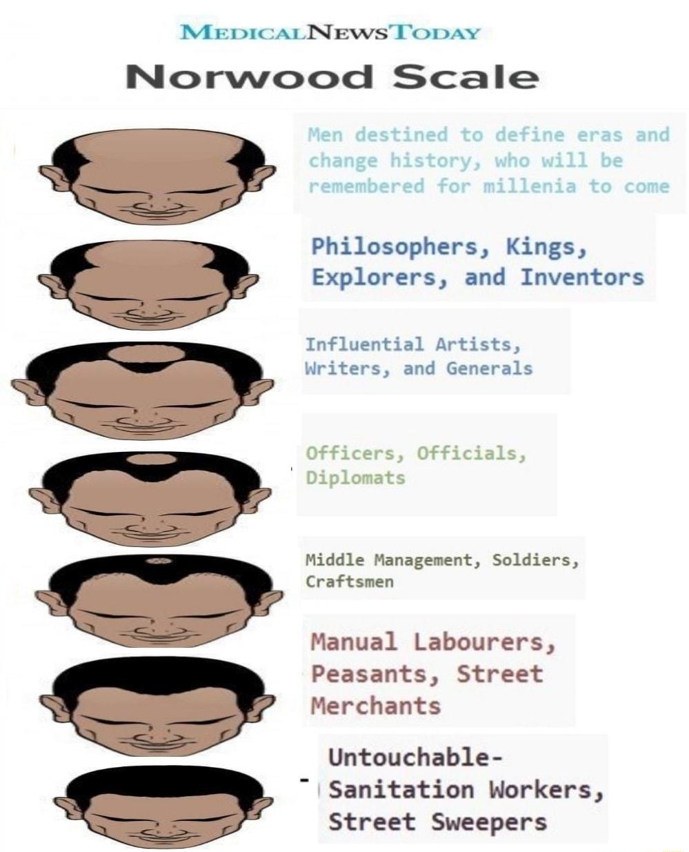 MEeDICALINEWS TODAY Norwood Scale Philosophers Kings Explorers and Inventors Influential Artists Writers and Generals Officers Officials Diplomats Middle Management Soldiers Craftsmen Manual Labourers Peasants Street Merchants Untouchable Sanitation Workers Street Sweepers