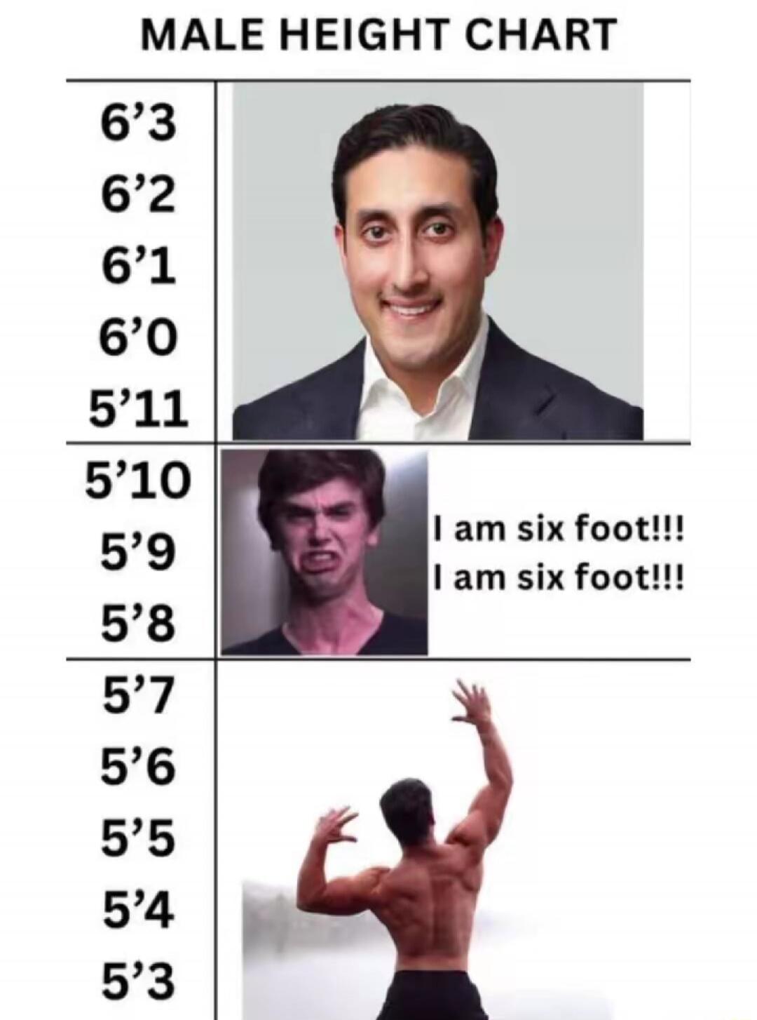 MALE HEIGHT CHART 6'3 6'2 6'1 6'0 5'11 5'10 5'9 5'8 5'7 5'6 5'5 5'4 5'3 I am six foot!!! I am six foot!!!