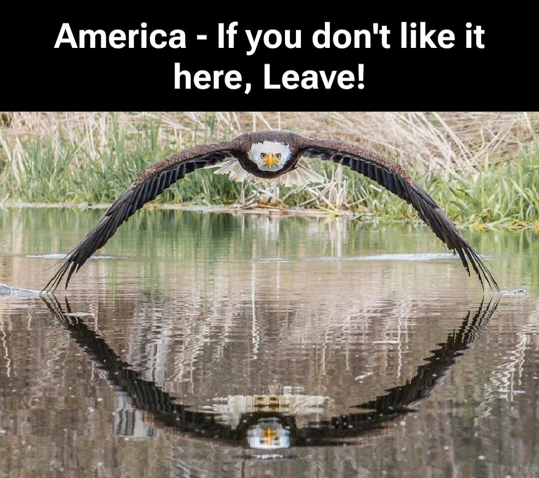 America - If you don't like it here, Leave!