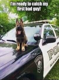 I'm ready to catch my first bad guy!