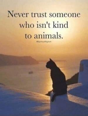 Never trust someone who isn't kind to animals. @SpiritualAsylum