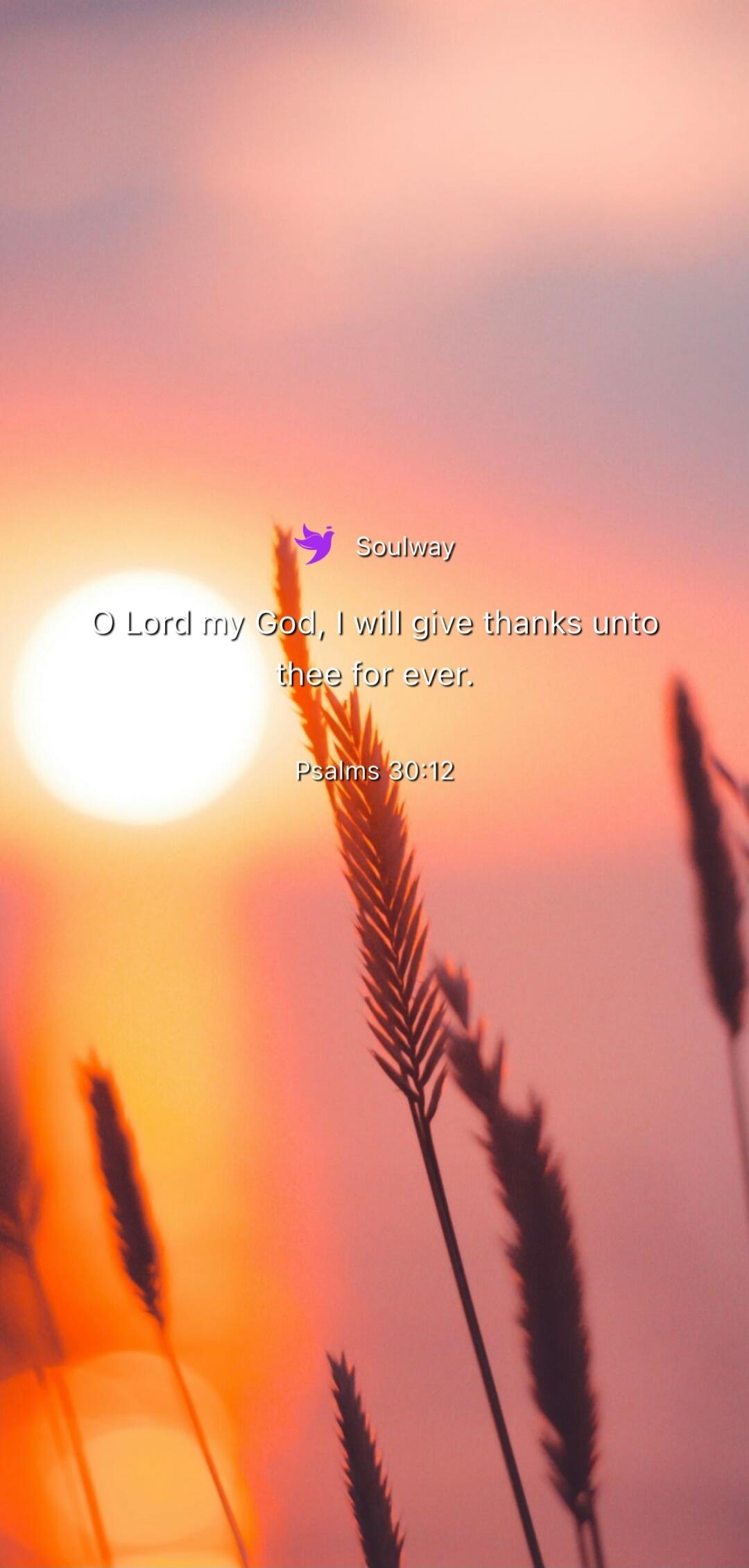 Soulway
O Lord my God, I will give thanks unto thee for ever.
Psalms 30:12