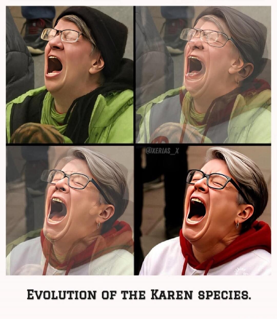 EVOLUTION OF THE KAREN SPECIES.