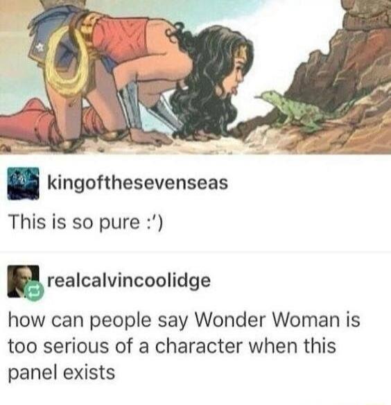 kingofthesevenseas
This is so pure :')
realcalvincoolidge
how can people say Wonder Woman is too serious of a character when this panel exists