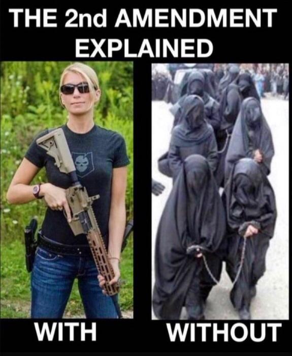 THE 2nd AMENDMENT EXPLAINED WITH WITHOUT