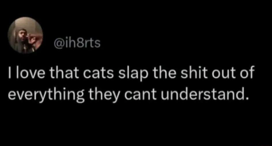 ILEIE love that cats slap the shit out of VG GERE RIS E O