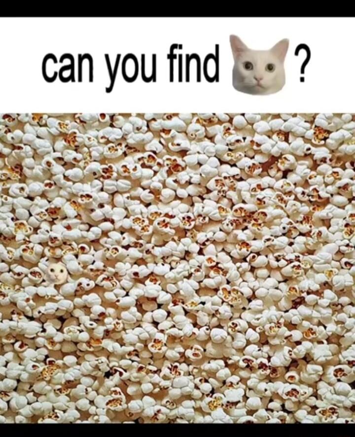 find can you