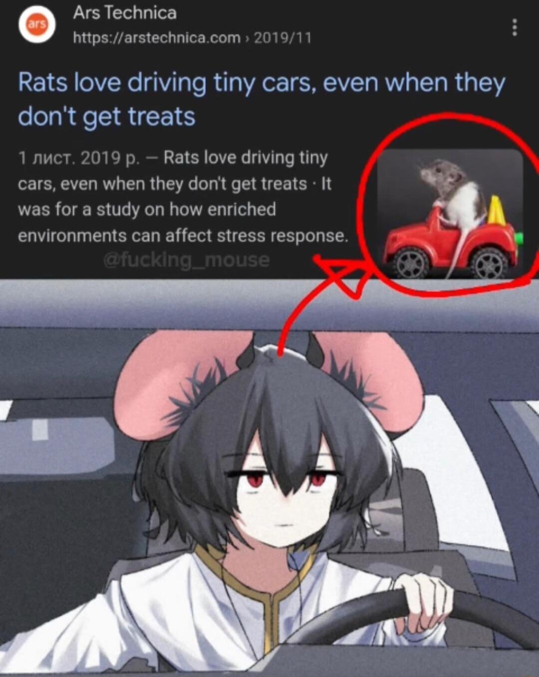 Ars Technica httpsarstechnicacom Rats love driving tiny cars even when they dont get treats 19 p Rats love driving tiny cars even when they donit get treats It was for a study on how enriched I environments can affect stress response P T
