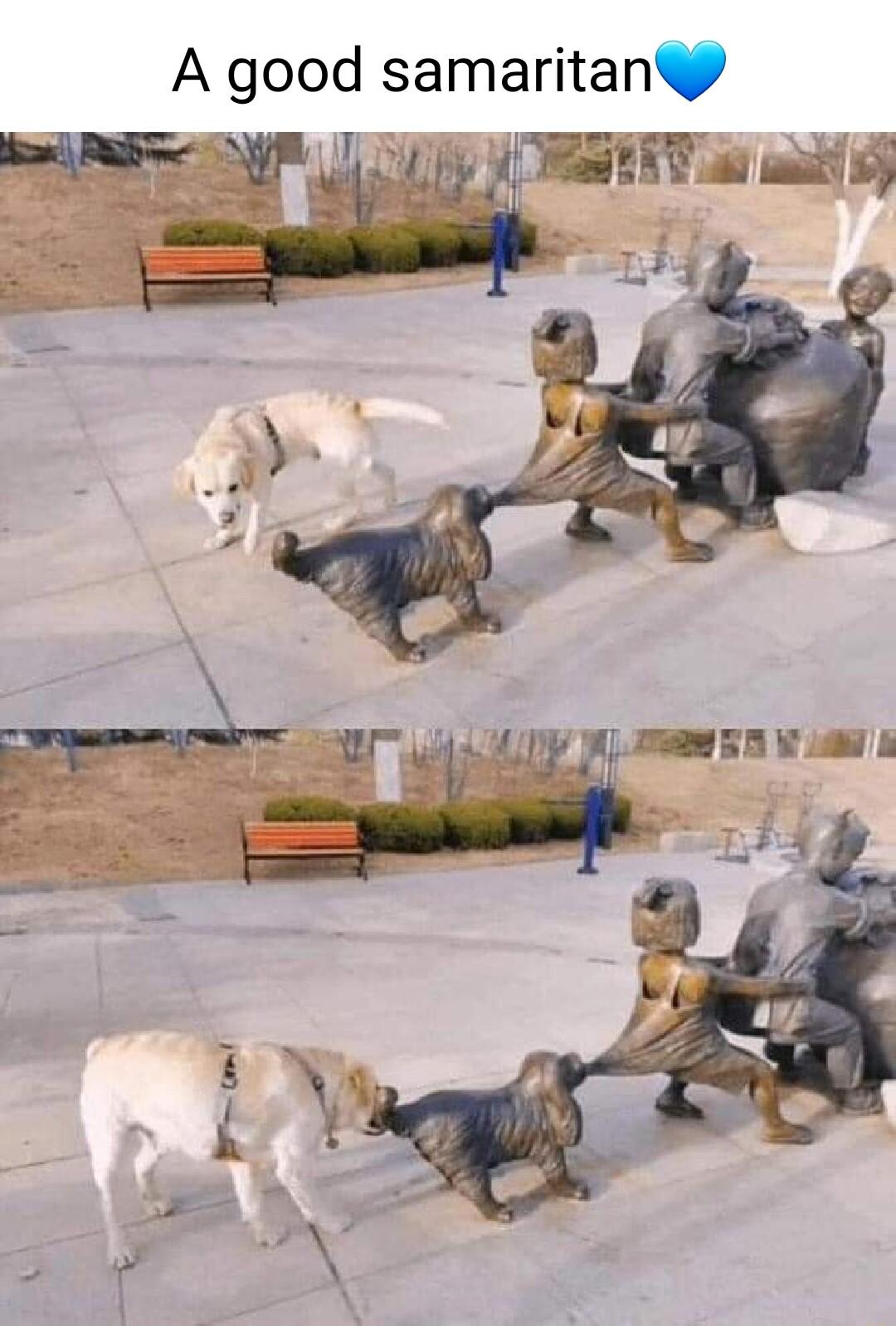 A good samaritany RN UL L o TR it WL R _r Yy iv TR