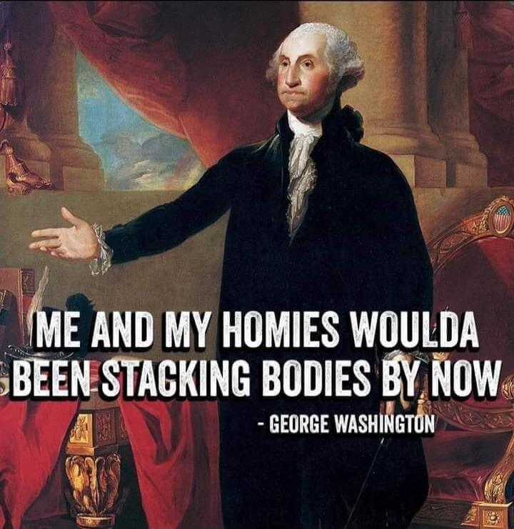 ME AND MY HOMIES WOULDA BEEN STACKING BODIES BY NOW - GEORGE WASHINGTON