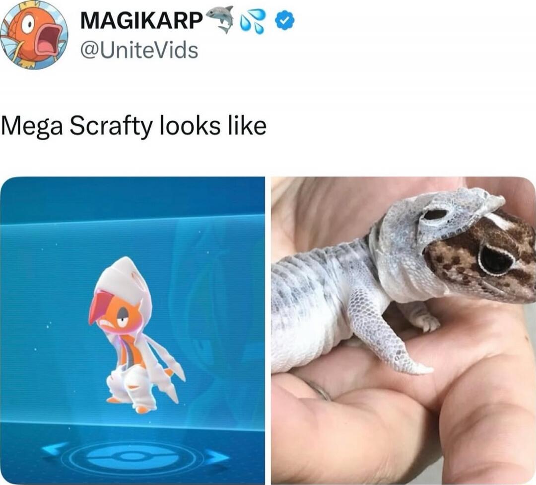MAGIKARP @UniteVids Mega Scrafty looks like