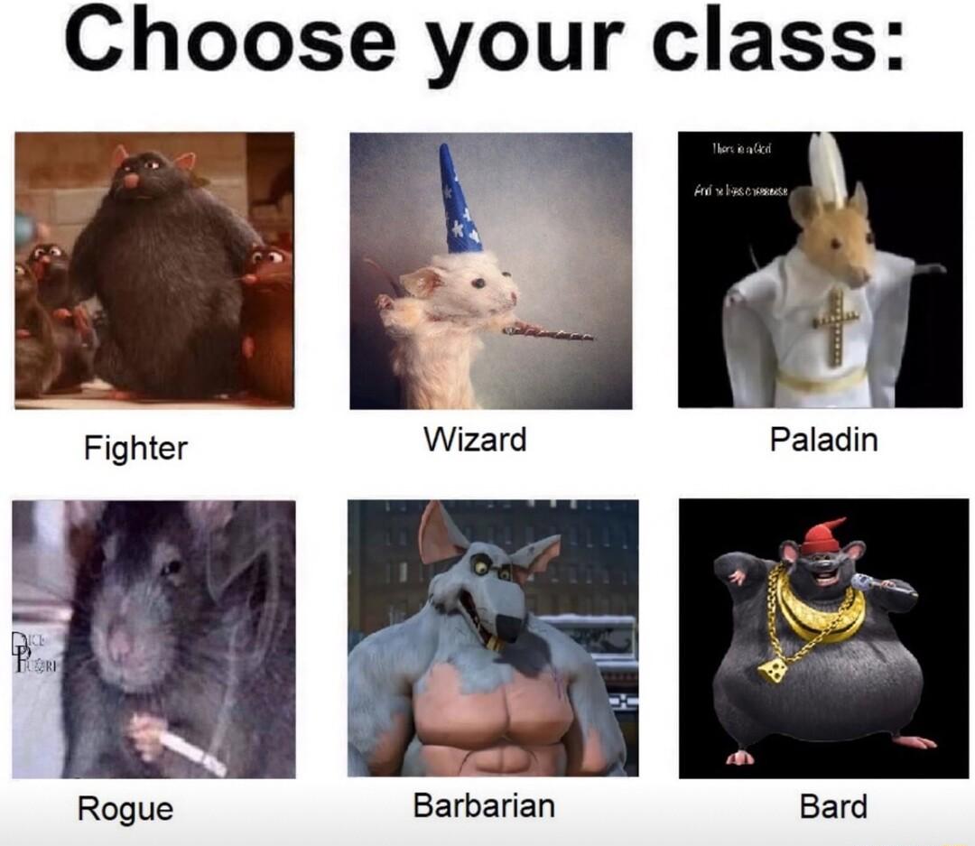 Choose your class Fighter Barbarian