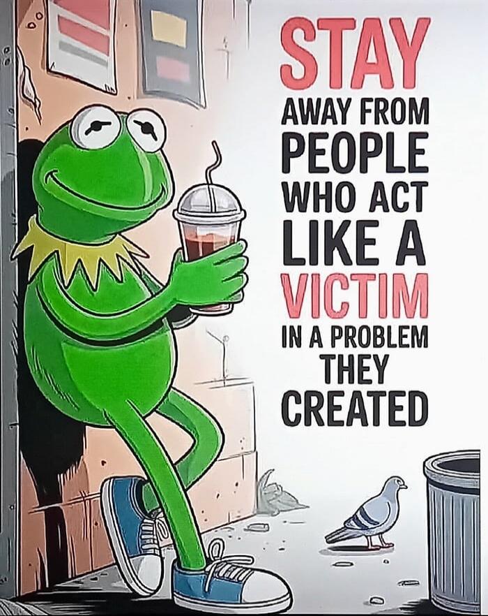 STAY AWAY FROM PEOPLE WHO ACT LIKE A VICTIM IN A PROBLEM THEY CREATED