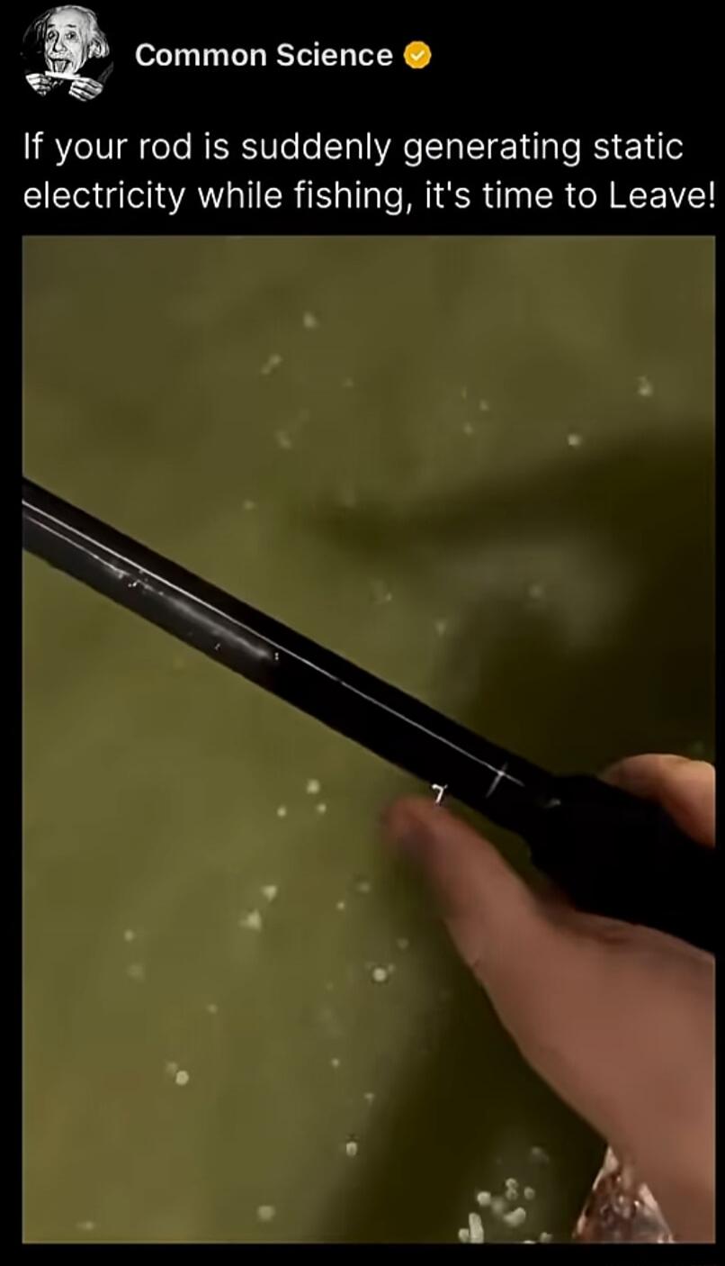 Common Science: If your rod is suddenly generating static electricity while fishing, it's time to Leave!